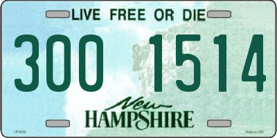 NH license plate 3001514