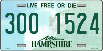 NH license plate 3001524
