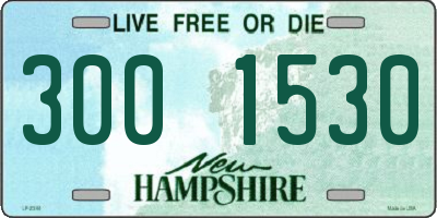 NH license plate 3001530