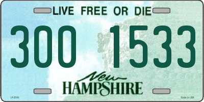 NH license plate 3001533