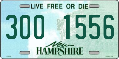 NH license plate 3001556