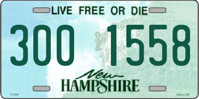 NH license plate 3001558