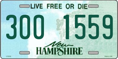 NH license plate 3001559