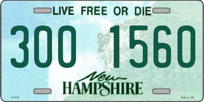 NH license plate 3001560