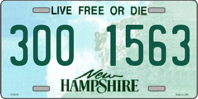 NH license plate 3001563