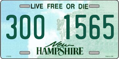 NH license plate 3001565