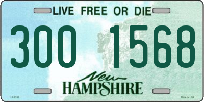 NH license plate 3001568