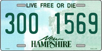NH license plate 3001569
