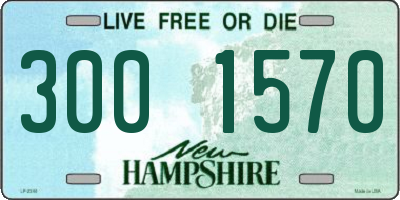 NH license plate 3001570