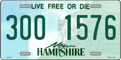 NH license plate 3001576