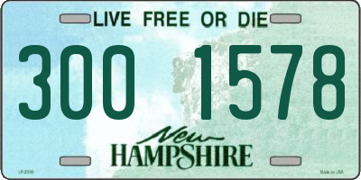 NH license plate 3001578