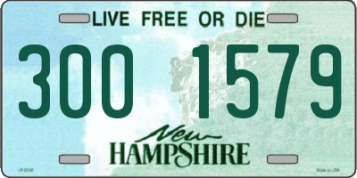 NH license plate 3001579