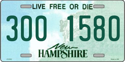 NH license plate 3001580