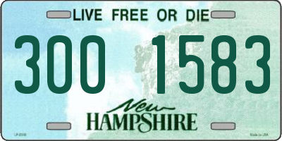 NH license plate 3001583