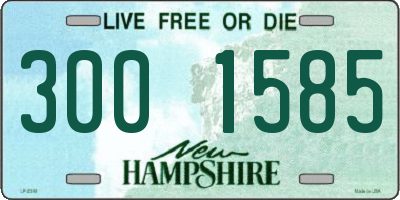 NH license plate 3001585