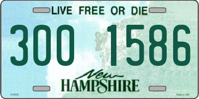 NH license plate 3001586