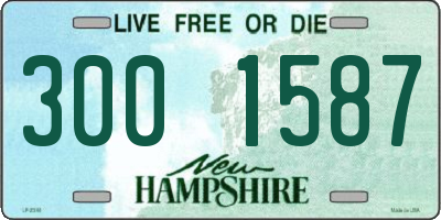 NH license plate 3001587