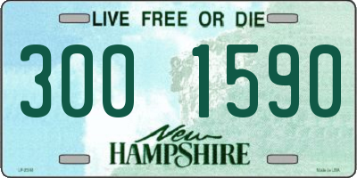 NH license plate 3001590