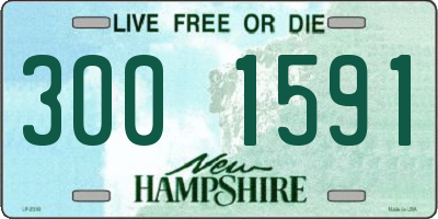 NH license plate 3001591