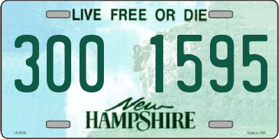 NH license plate 3001595