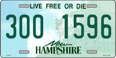 NH license plate 3001596