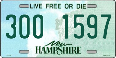 NH license plate 3001597