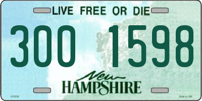 NH license plate 3001598