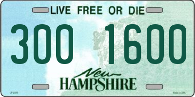 NH license plate 3001600