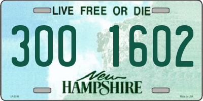 NH license plate 3001602