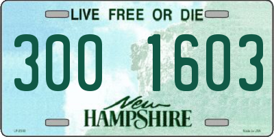 NH license plate 3001603