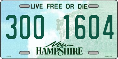 NH license plate 3001604