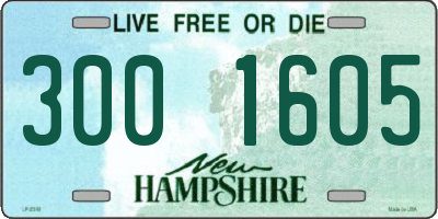 NH license plate 3001605