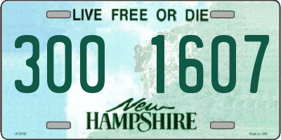 NH license plate 3001607