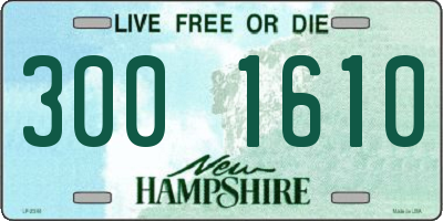 NH license plate 3001610