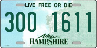 NH license plate 3001611