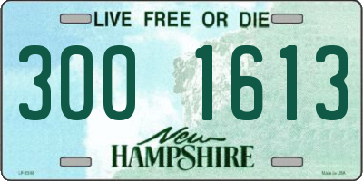 NH license plate 3001613