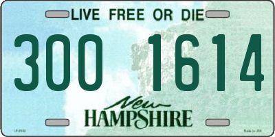 NH license plate 3001614