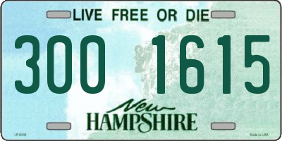 NH license plate 3001615