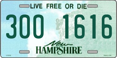 NH license plate 3001616
