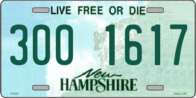 NH license plate 3001617