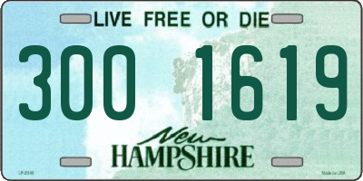 NH license plate 3001619