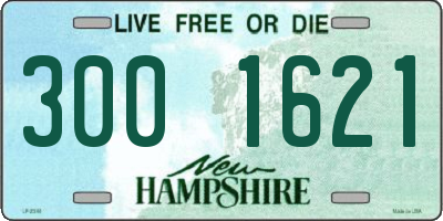 NH license plate 3001621