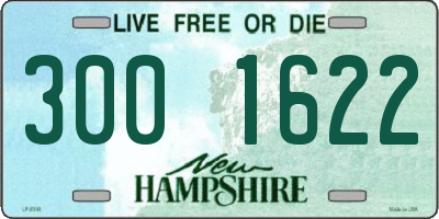 NH license plate 3001622