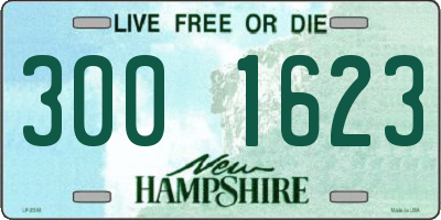 NH license plate 3001623