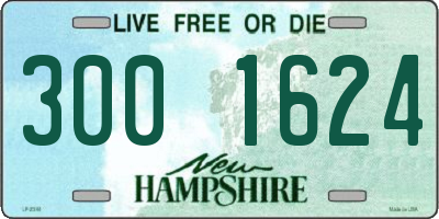 NH license plate 3001624