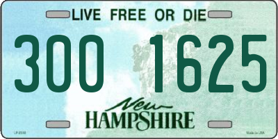 NH license plate 3001625