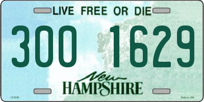 NH license plate 3001629