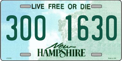 NH license plate 3001630