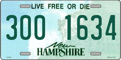 NH license plate 3001634