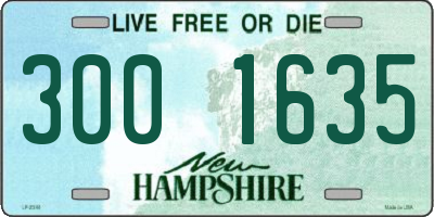 NH license plate 3001635